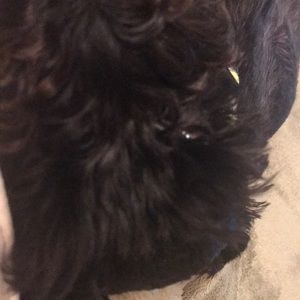 Meet your Posher, Charisse